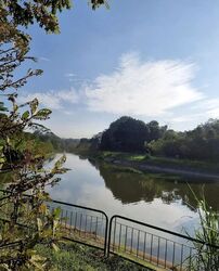 Waterfront @ Faber (D5), Apartment #478298071